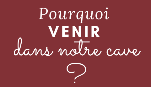 Pourquoi venir dans notre cave